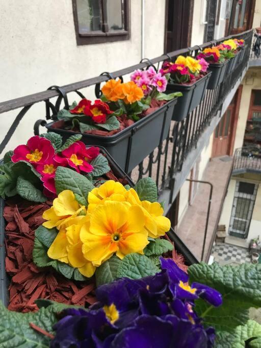 Perfect Location,Newly Decorated Modern, Large Place 60 M2, Really Quiet So You Can Have A Good Night Sleep, Ac, Netflix, Smart Tv, High-Speed Internet, World Famous New York Cafe Only 10 Minutes Walk Budapest Esterno foto